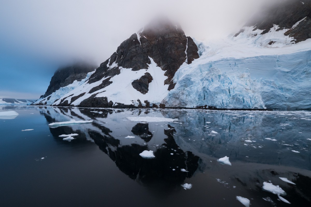 Grey Wolf Antarctic View