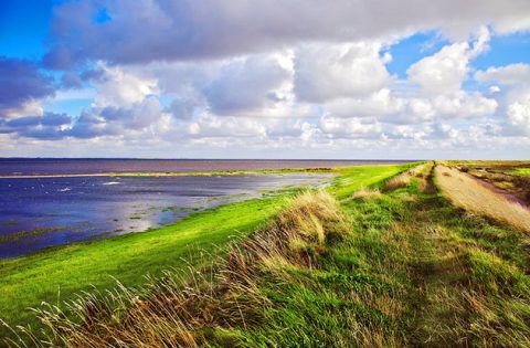 Wadden Sea, West Jutland. 
