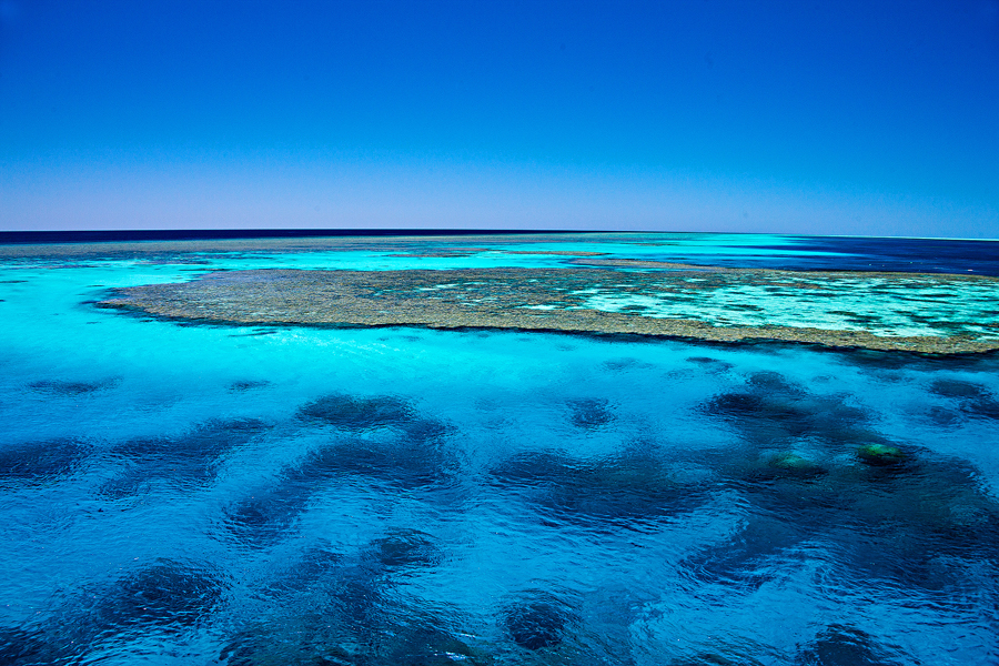 The stunning colours of Rowley Shoals reef