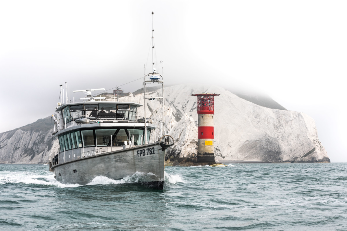 Grey Wolf The Needles